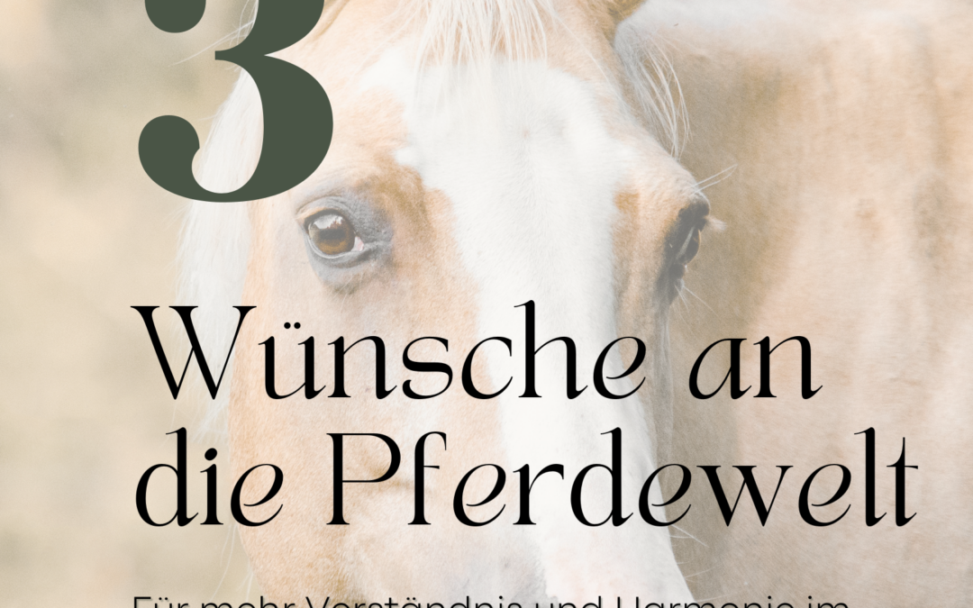 3 Wünsche an die Pferdewelt